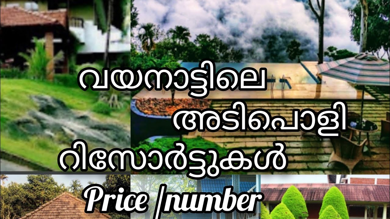 Best Resorts In Wayanad /Wayanad /വയനാട്ടിലെ അടിപൊളി റിസോർട്ടുകൾ part/9#wayanad #wayanadresort