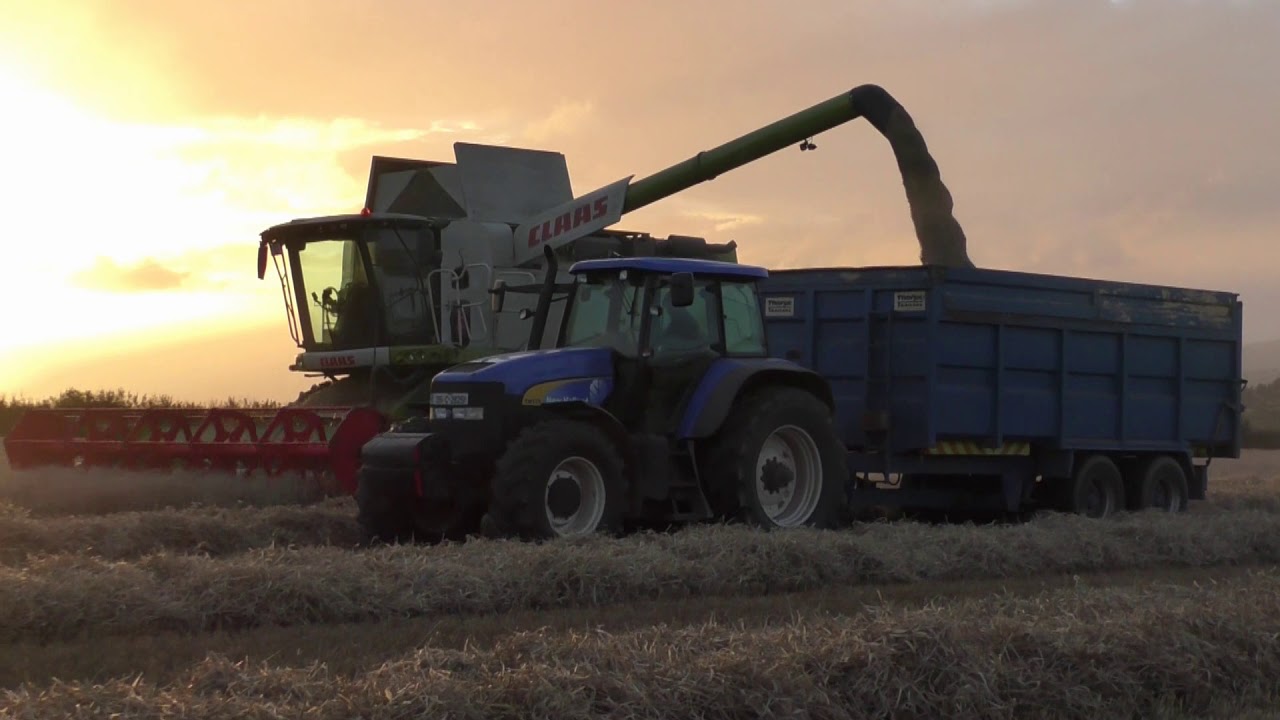 Harvest 2020 Claas Lexion 670