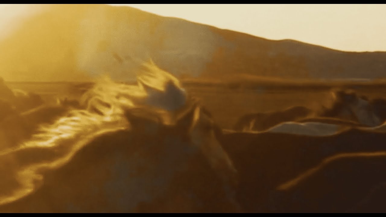 Sungaze - New Twang (Official Visualizer)