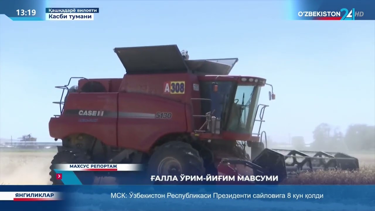 Махсус репортаж | Ғалла ўрим-йиғим мавсуми