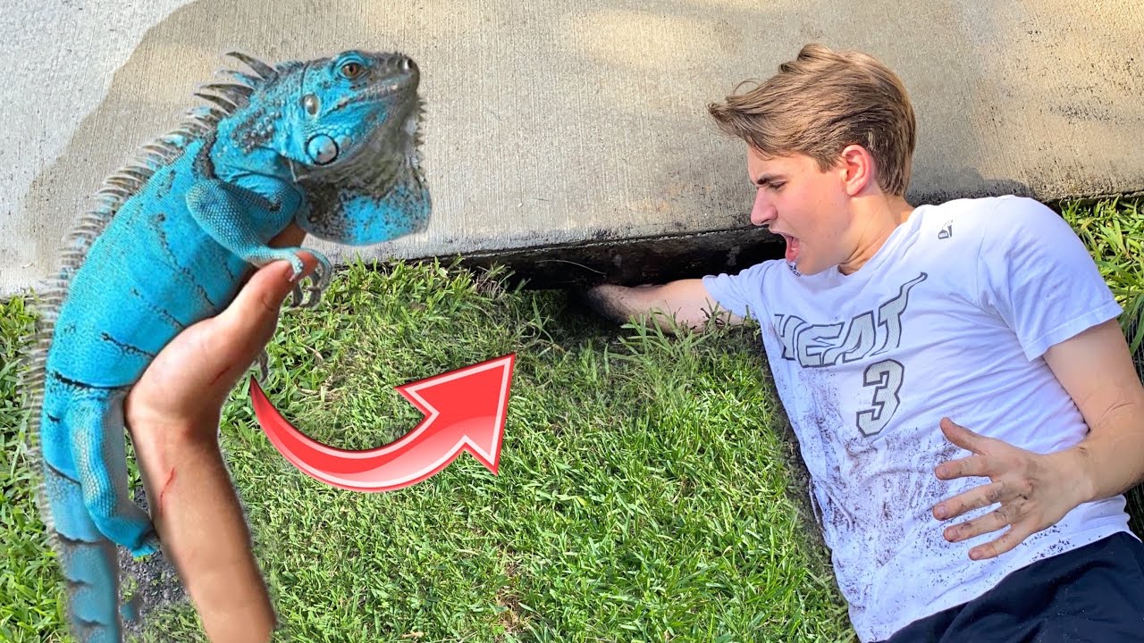 My PET LIZARD IS STUCK In A UNDERGROUND CAVE ! WILL WE SAVE HER ?!