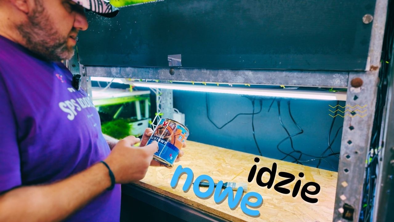Nie mogłem dłużej z tym czekać - W OSTATNIEJ CHWILI