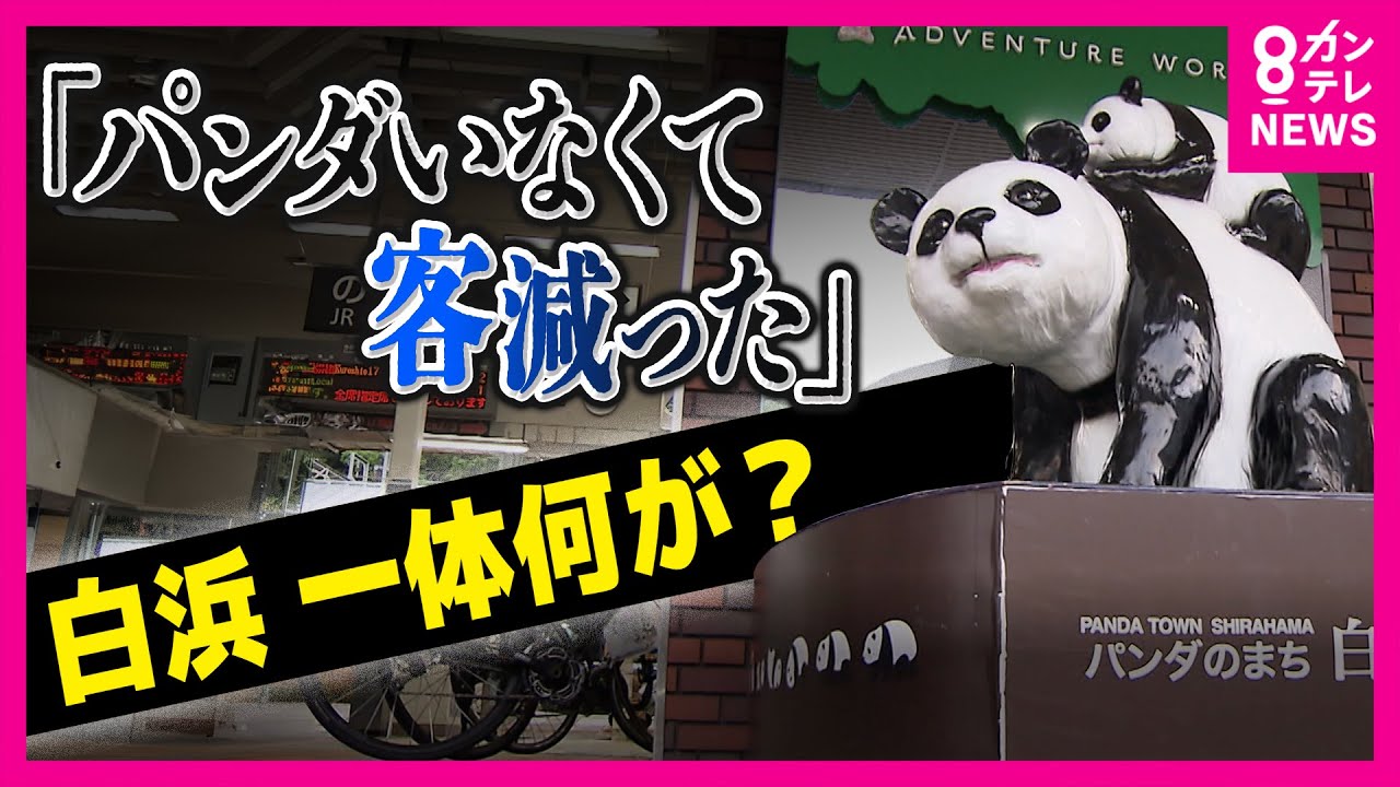 パンダなき白浜を襲う“パンダクライシス”　ホテルの宿泊者数1万人減　町長「”パンダのせい”断ち切らないと！世界のリゾートを目指す」　鈴木哲夫氏「パンダが戻ってくる可能性はある」〈カンテレNEWS〉