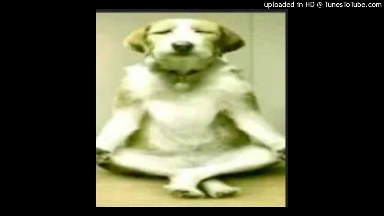 (FREE) FORTUNA812 x mapt0v type beat - dogs