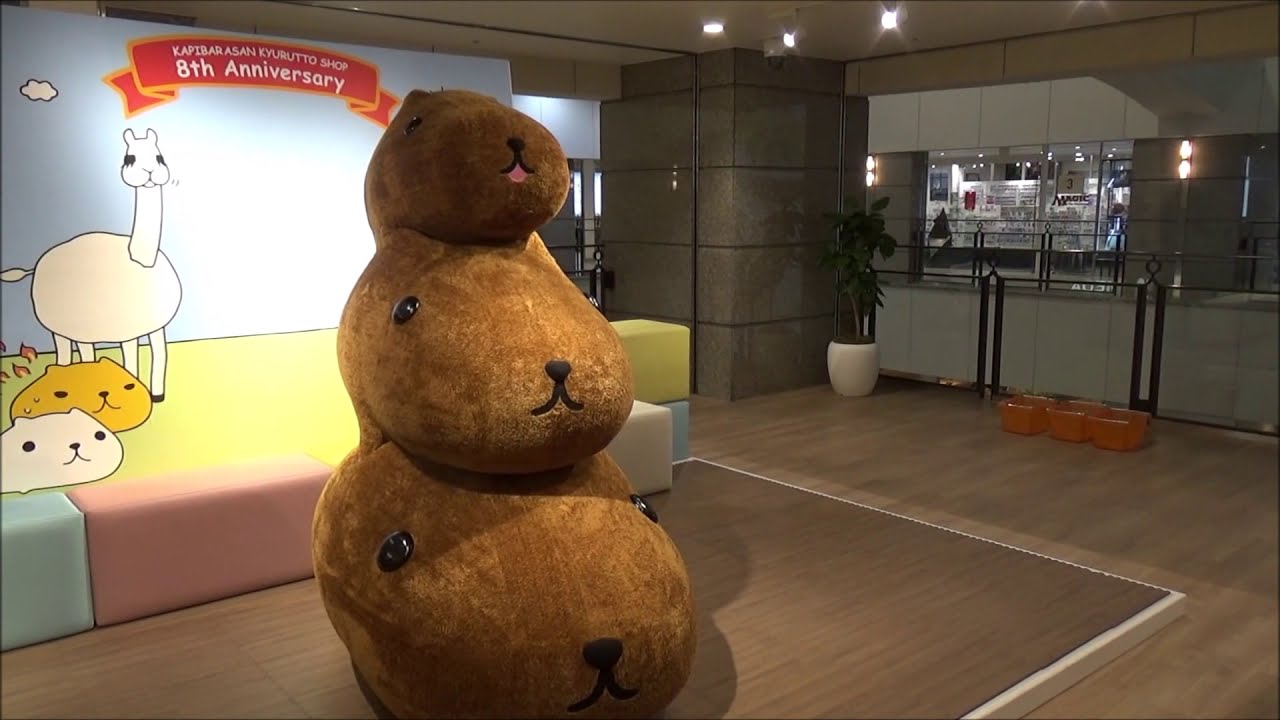 カピバラさん とててて・・イベント in キュルッとショップ 大阪梅田店