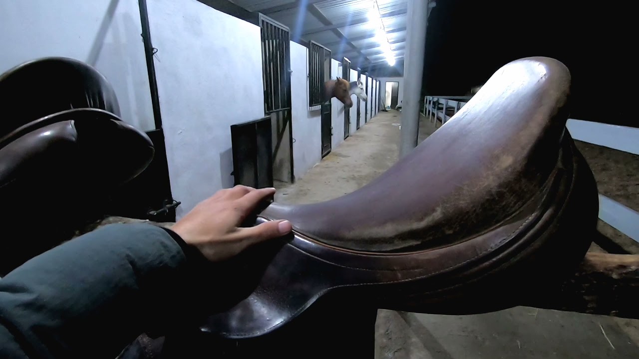 السرج ، the saddle ,La selle