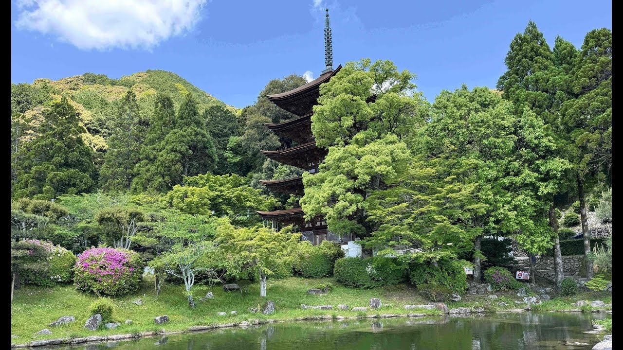 新緑に名塔きらり瑠璃光寺　2025山口・瑠璃光寺