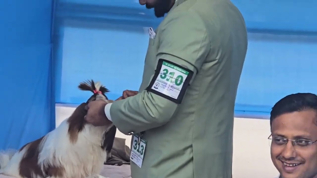  Jamshedpur Dog Show 2026 | Reemsi Tudu #youtube #dogshorts #dogvideos #dogloveryoutubechannel 