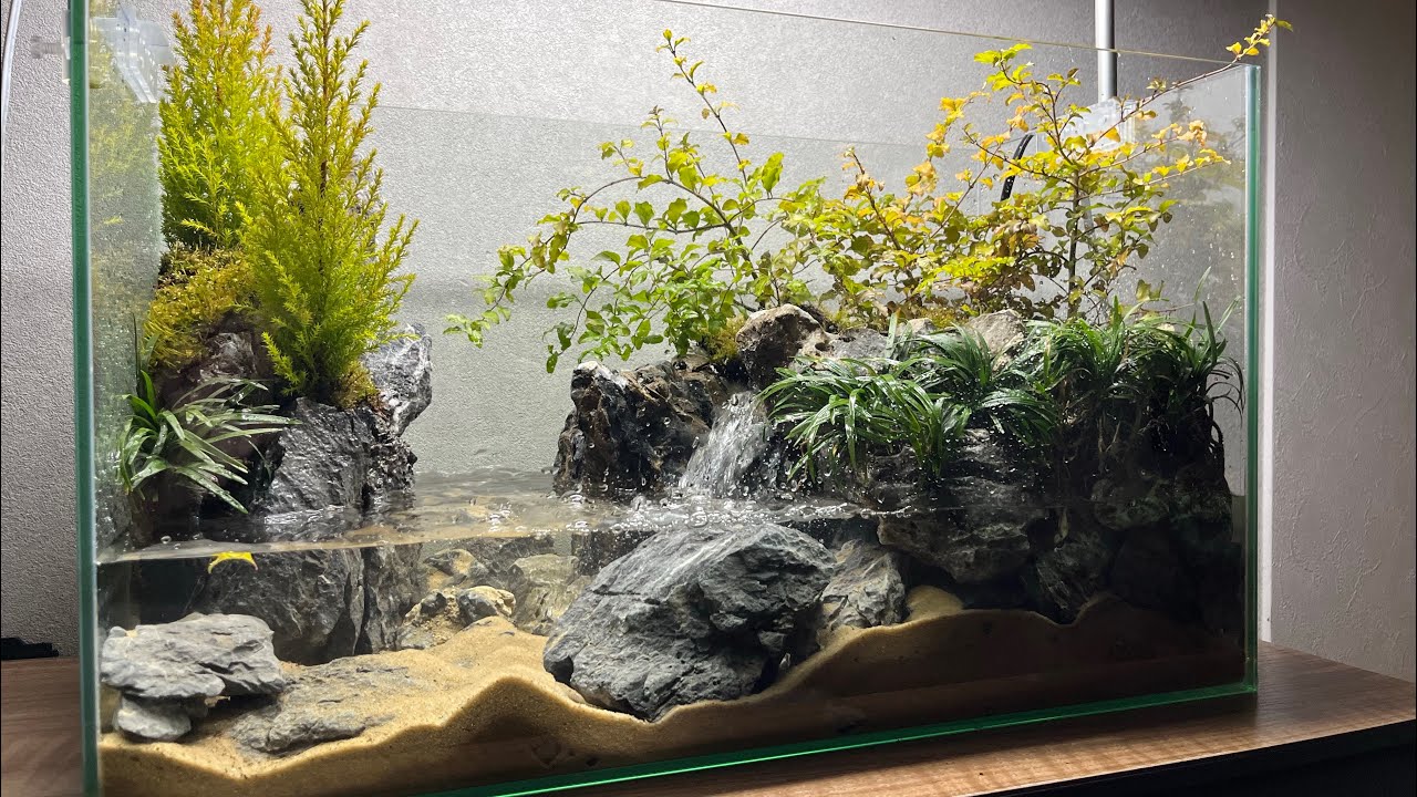 激流の再現 Recreating the rapids