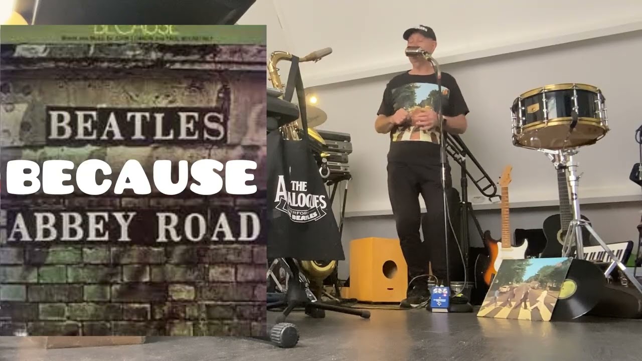 BECAUSE *THE BEATLES*COVER 🎤RON STEVENS