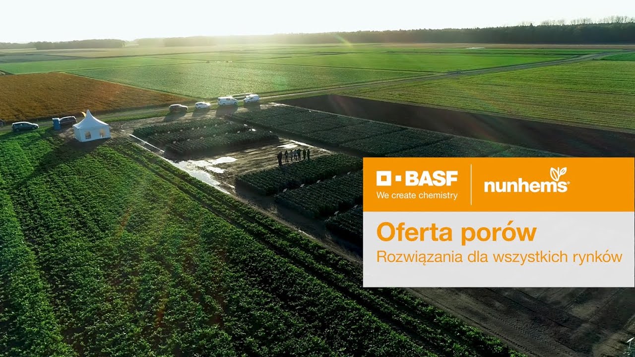 Oferta porów – Rozwiązania dla wszystkich rynków: Klasyczny świeży rynek