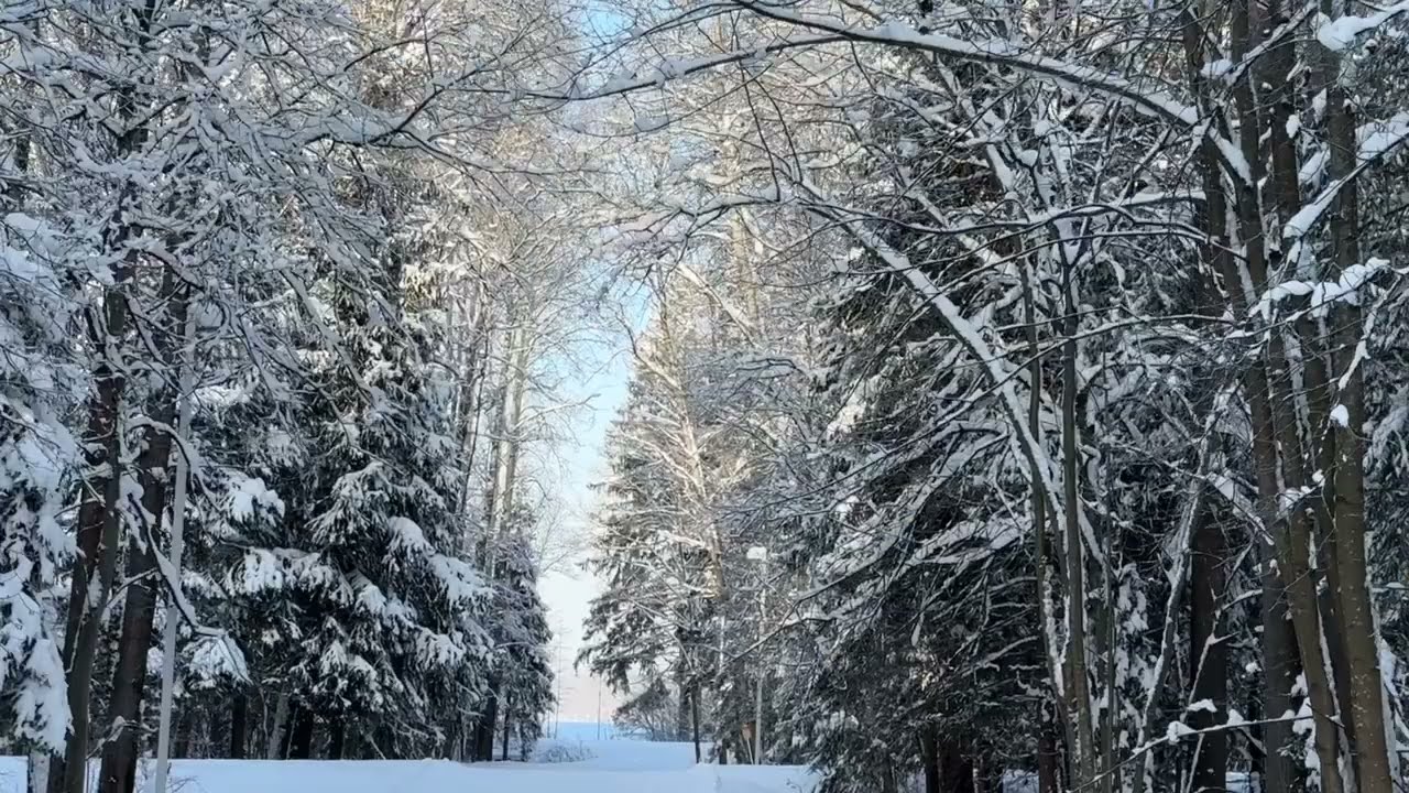 Зима Горнолыжный Клуб Целеево #зима
