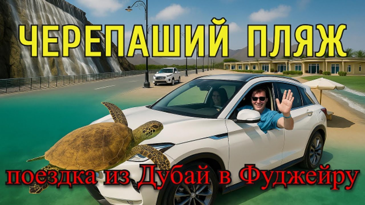 Черепаший пляж - поездка из Дубай в Фуджейру