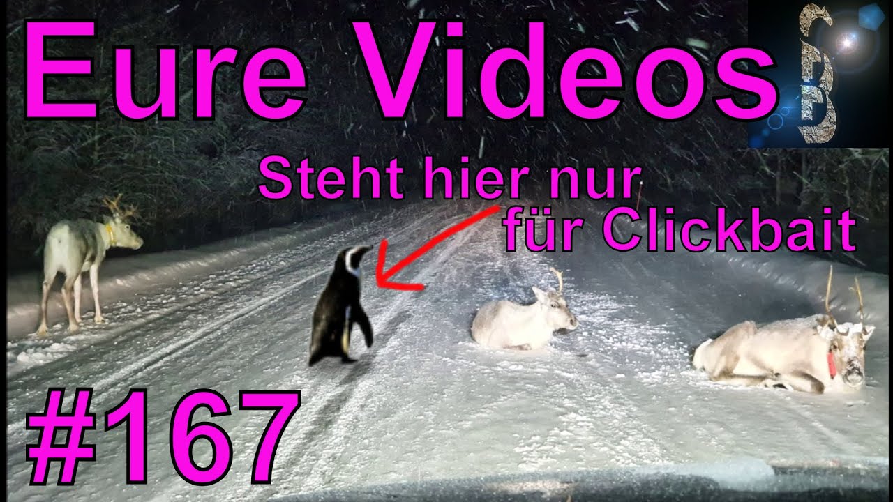 Eure Videos #167 - Eure Dashcamvideoeinsendungen #Dashcam