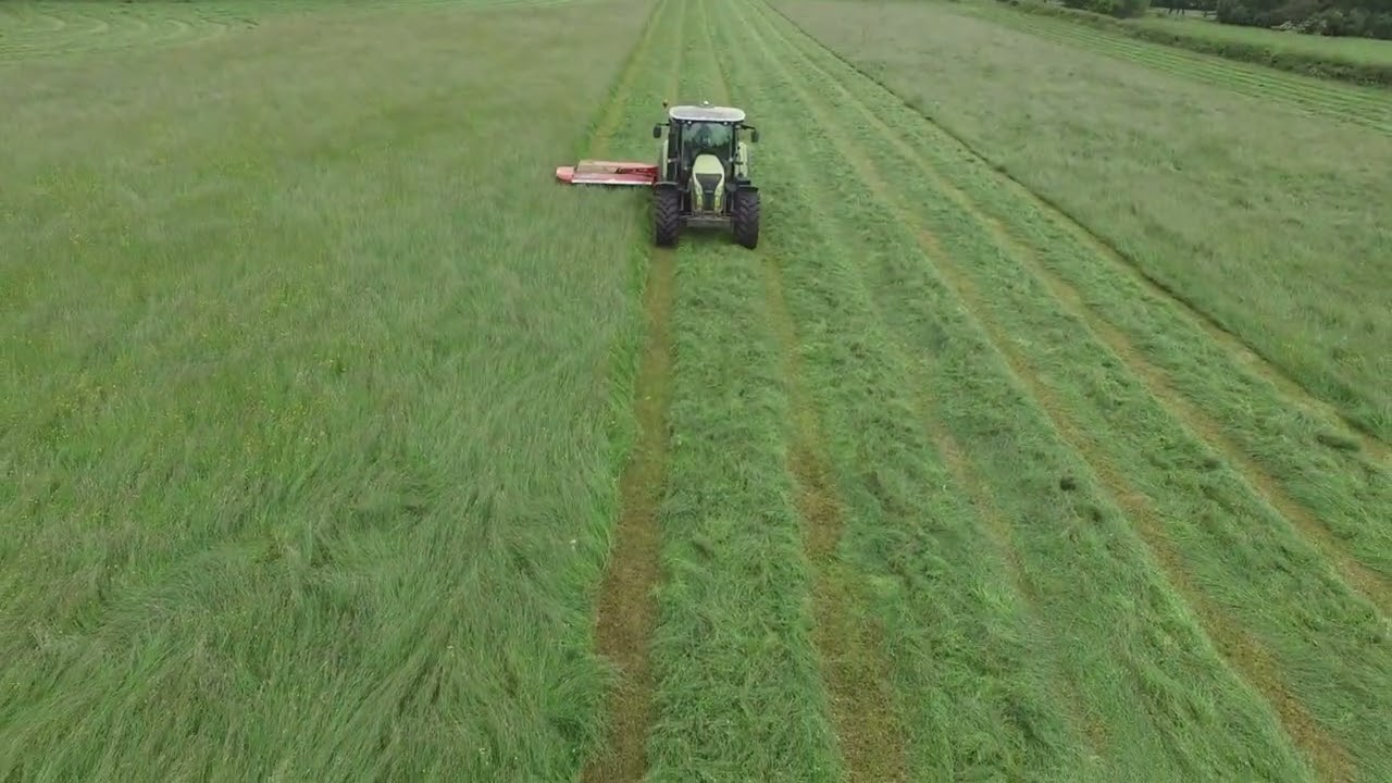 First cut of 2022