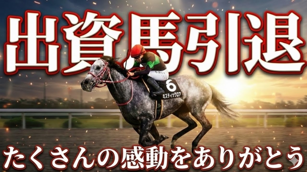 【一口馬主】種牡馬の夢が…。DMMバヌーシー出資馬ミスティックロアの引退が決まりました。