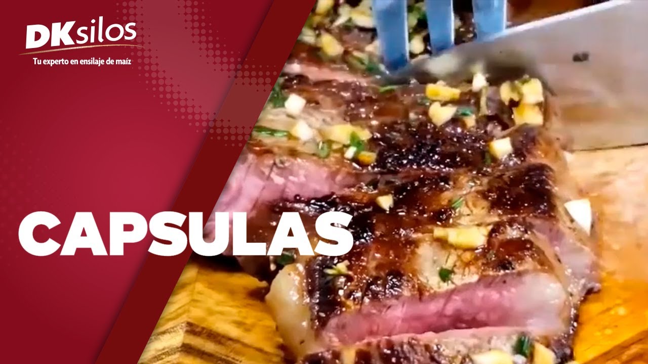 DKsilos - Cortes De Carne M&aacute;s Famosos.