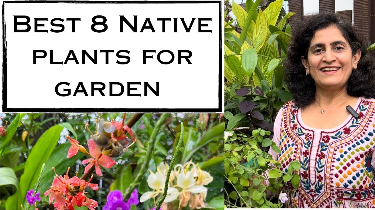 Best 8 Native Plants for garden(in English only) : Flowering, Perennial and very easy to maintain.