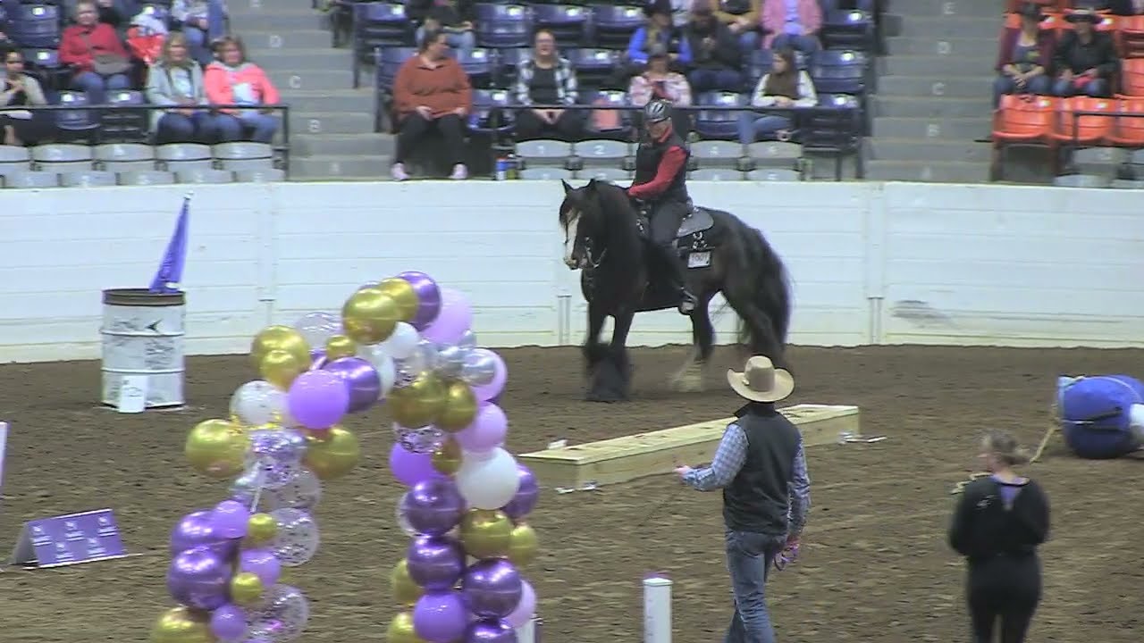 WHR TINY DANCER • Versatility Challenge at Equine Affair 2024