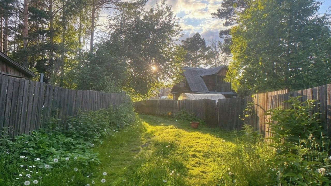 a quiet playlist for a calm morning in a sunlit cottage 🌱