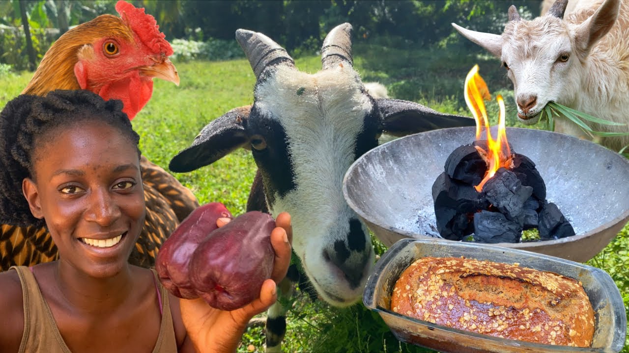Life In The Jamaican Countryside “Coal-Fired Banana Bread” Peaceful Country Living