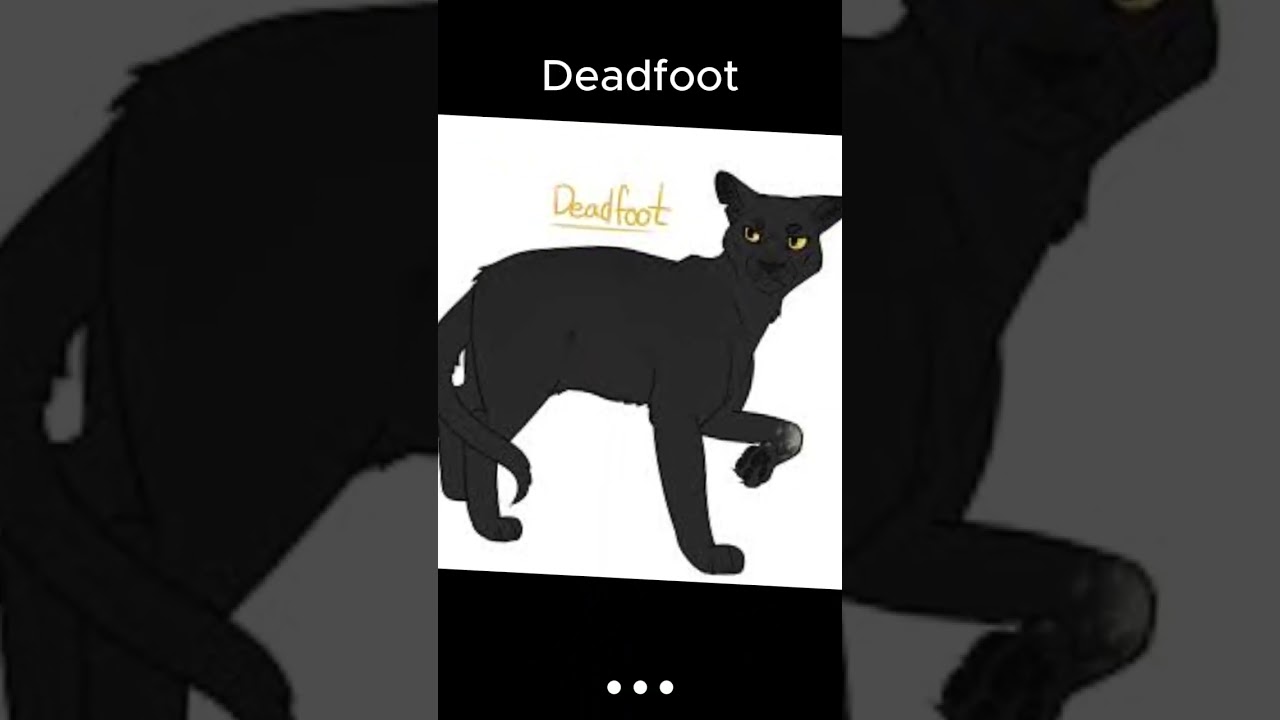 Warrior cat names...