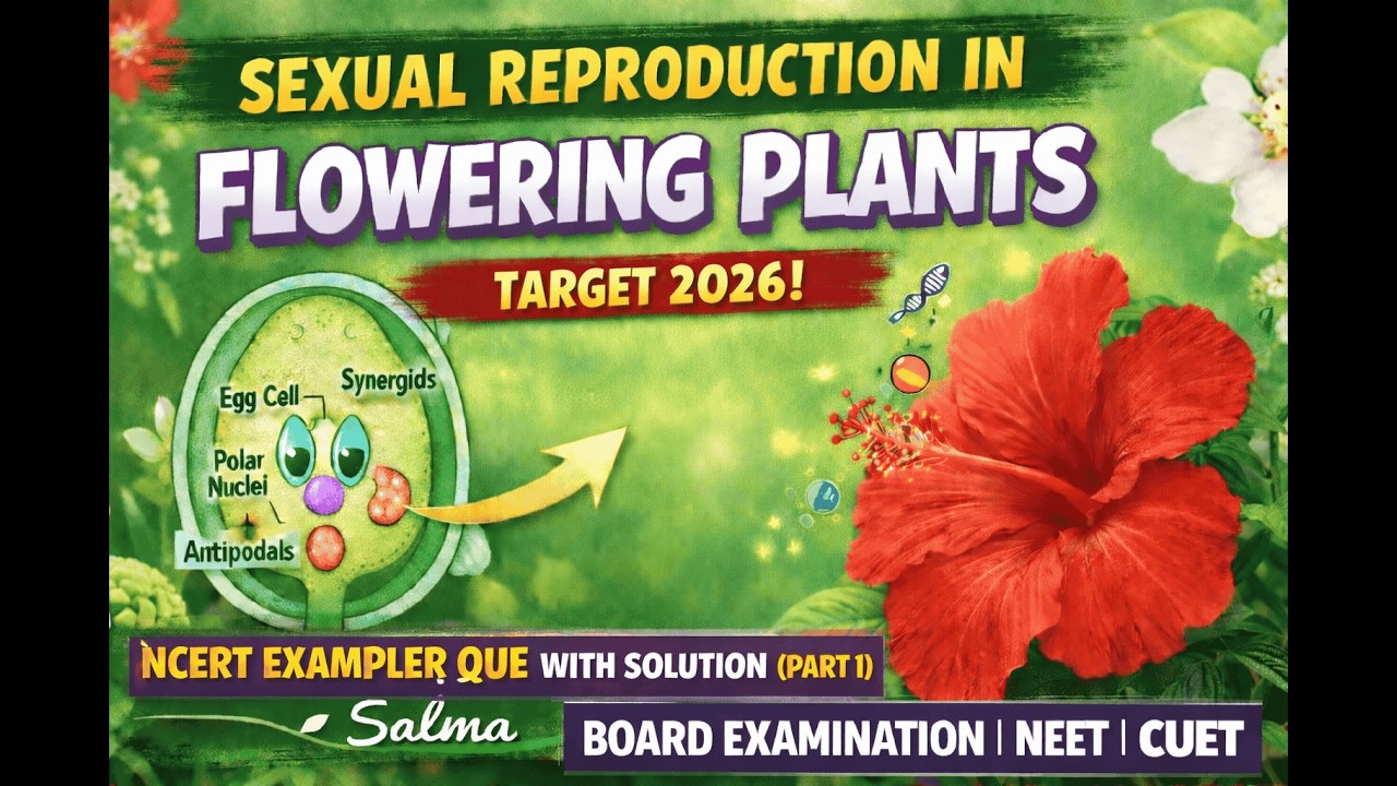 Sexual Reproduction in Flowering Plants | NCERT Exemplar | NEET 2026| Class 12 Biology