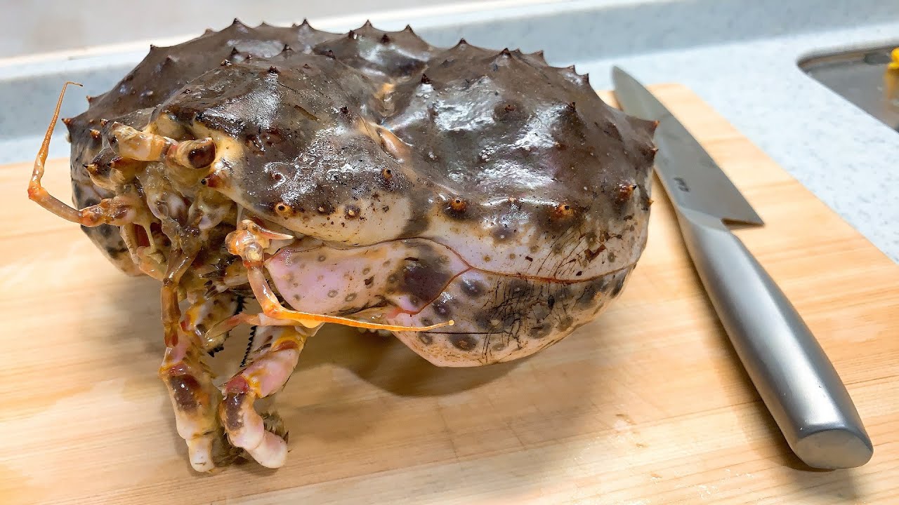 巨大生タラバの頭の丸ごとカニグラタン!!