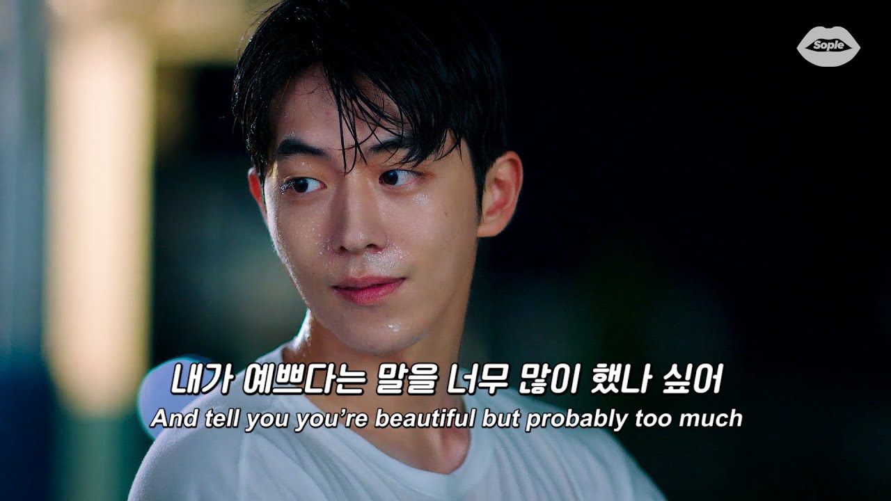 난 널 사랑하고 있어 : 𝐋𝐀𝐍𝐘 - 𝐝𝐧𝐚 [가사/해석/한국어/lyrics]