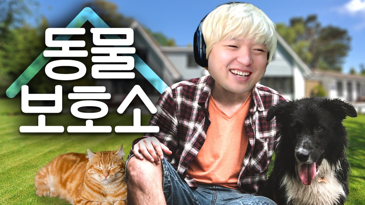 유기견&유기묘 입양 도와주는 힐링게임 (Animal Shelter)
