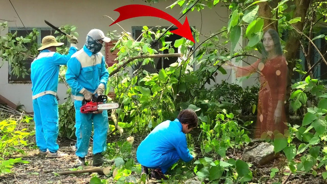 Time-Lapse: Mystery Encounter During Cleanup — Who Is the Woman Standing in the Trees? 😨