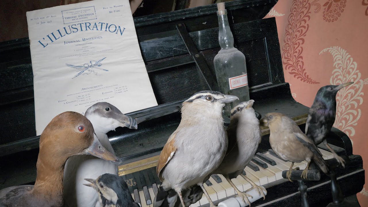 J'explore SEUL DE NUIT le CHÂTEAU ABANDONNÉ d'un TAXIDERMISTE