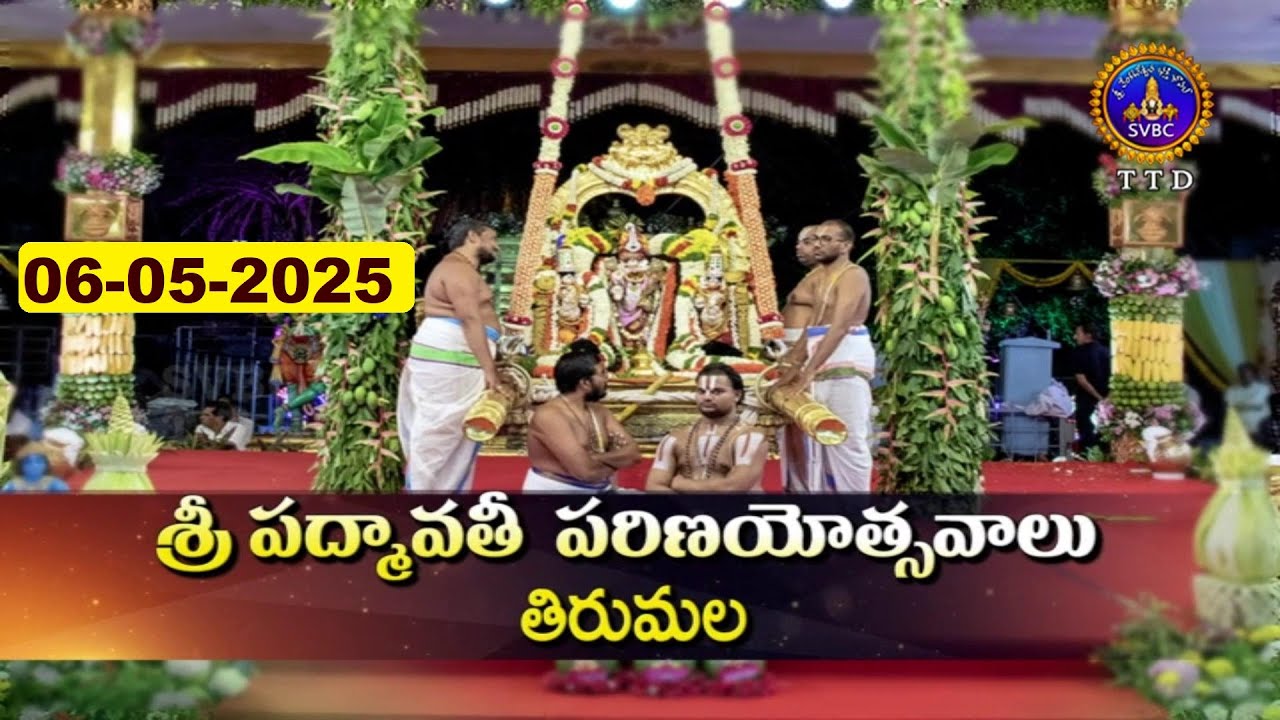 Sri Padmavathi Srinivasula Parinayotsavalu || Tirumala || Day 01 || 06-05-2025 || SVBC TTD