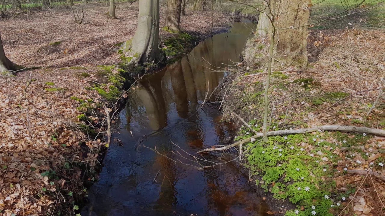 Landgoed Valkenberg tussen Breda en Chaam