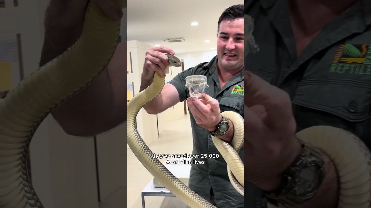 Огромное спасибо за экскурсию! @AustralianReptilePark
