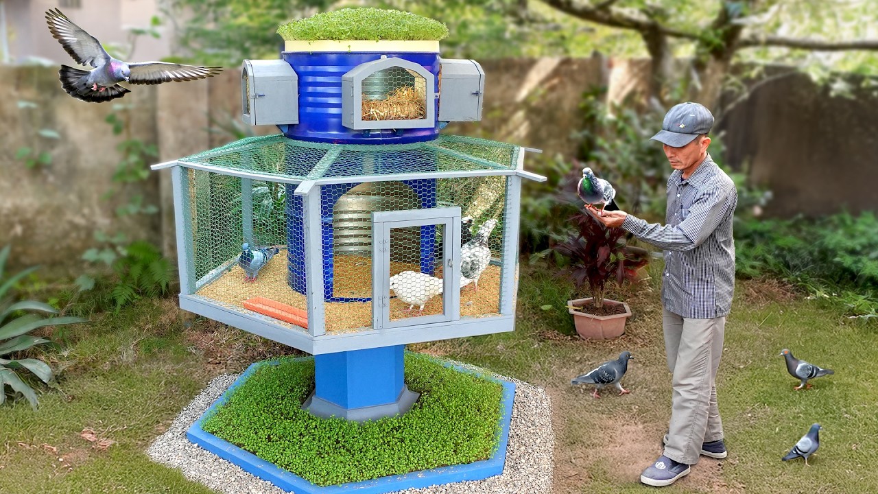 Build stylish pigeon coop and mini garden from old barrel for my wife