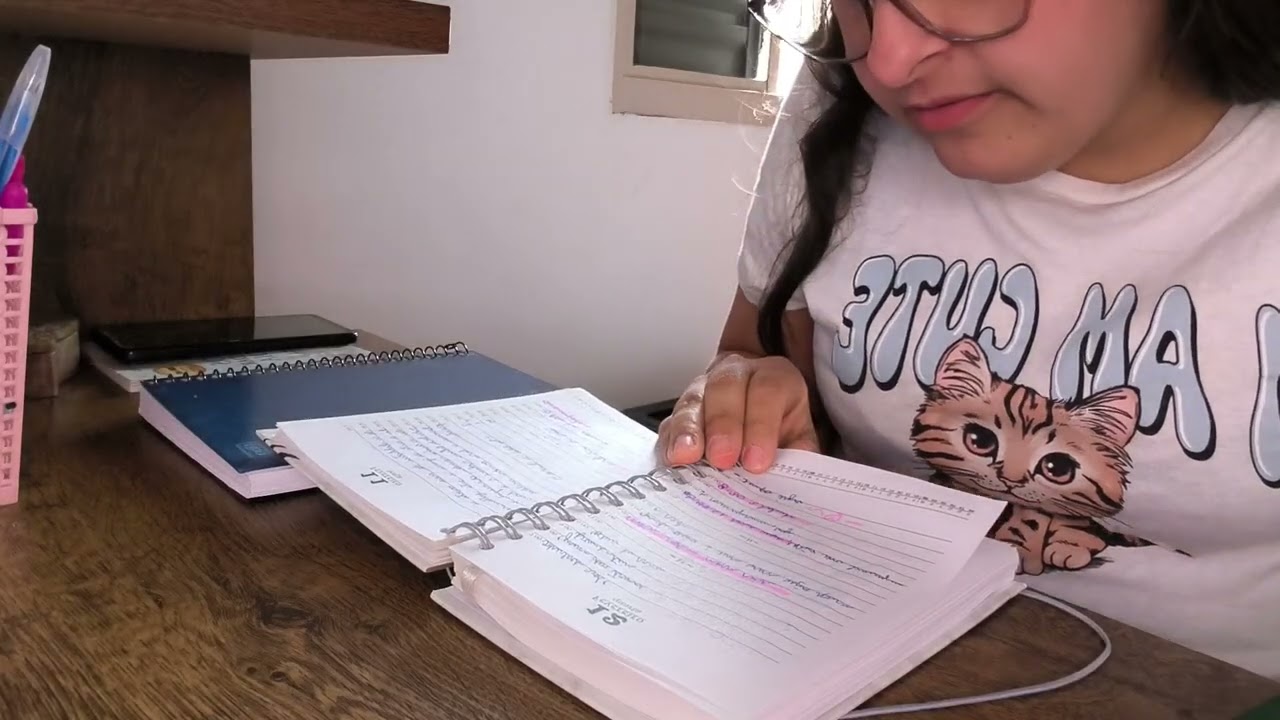 Meu ecossistema de cadernos 2026 + meu método e como funciona 