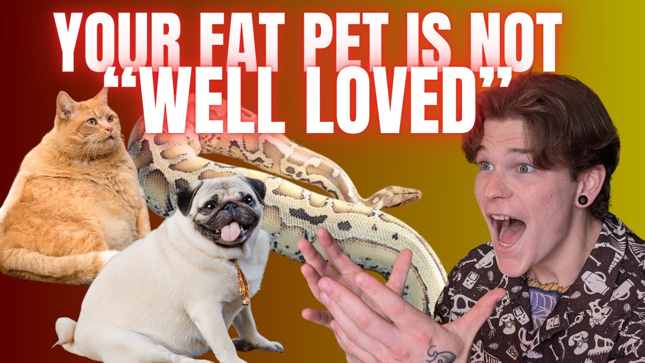 The Pet OBESITY Epidemic!