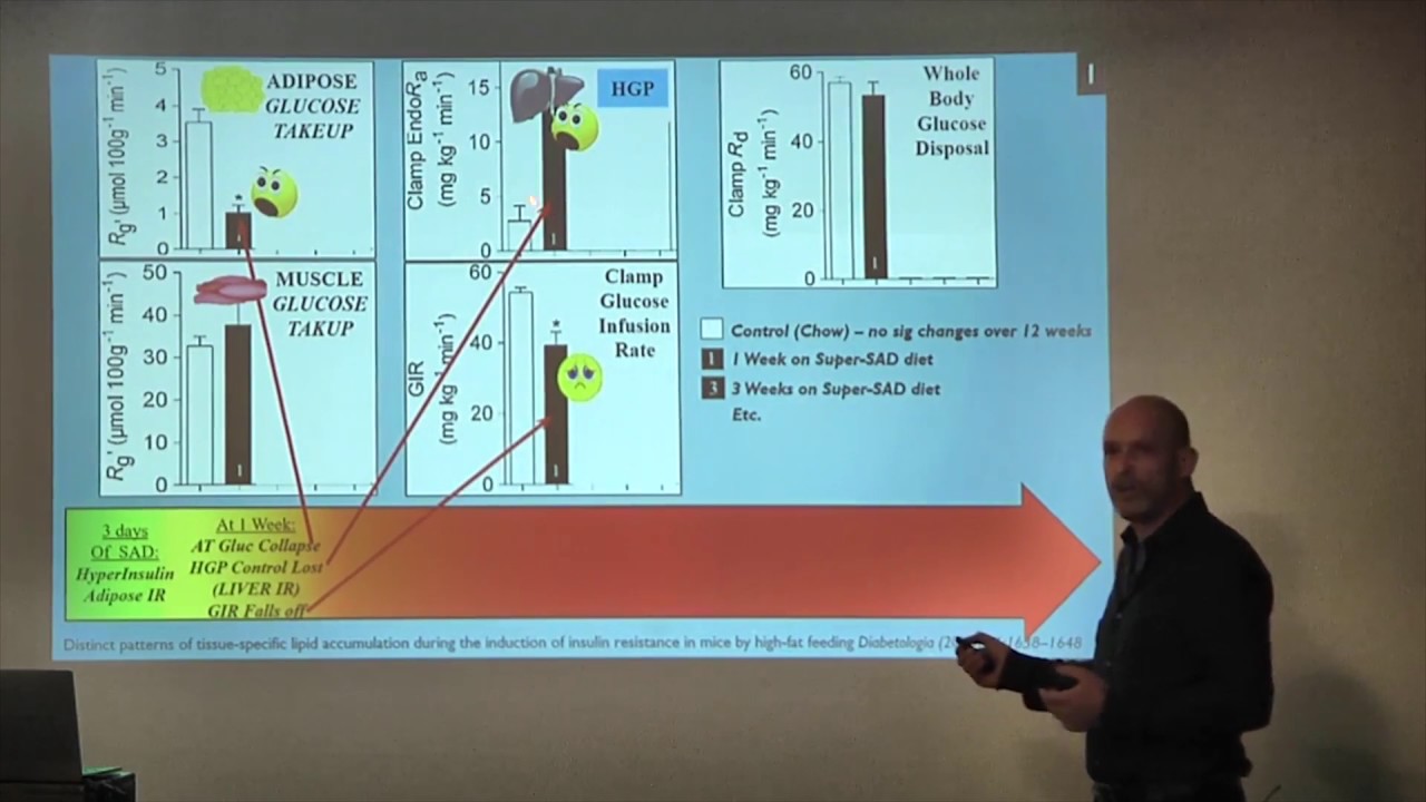 Ivor Cummins: “Roads to Ruin?” The Pathways and Implications of Insulin Resistance