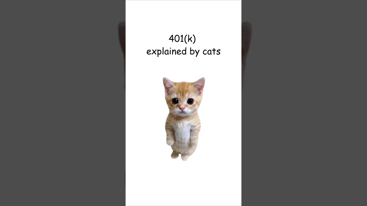 Kitty Explains a 401(k) in 60 Seconds 🐱💼 | Retirement Plan Basics Made Cute!