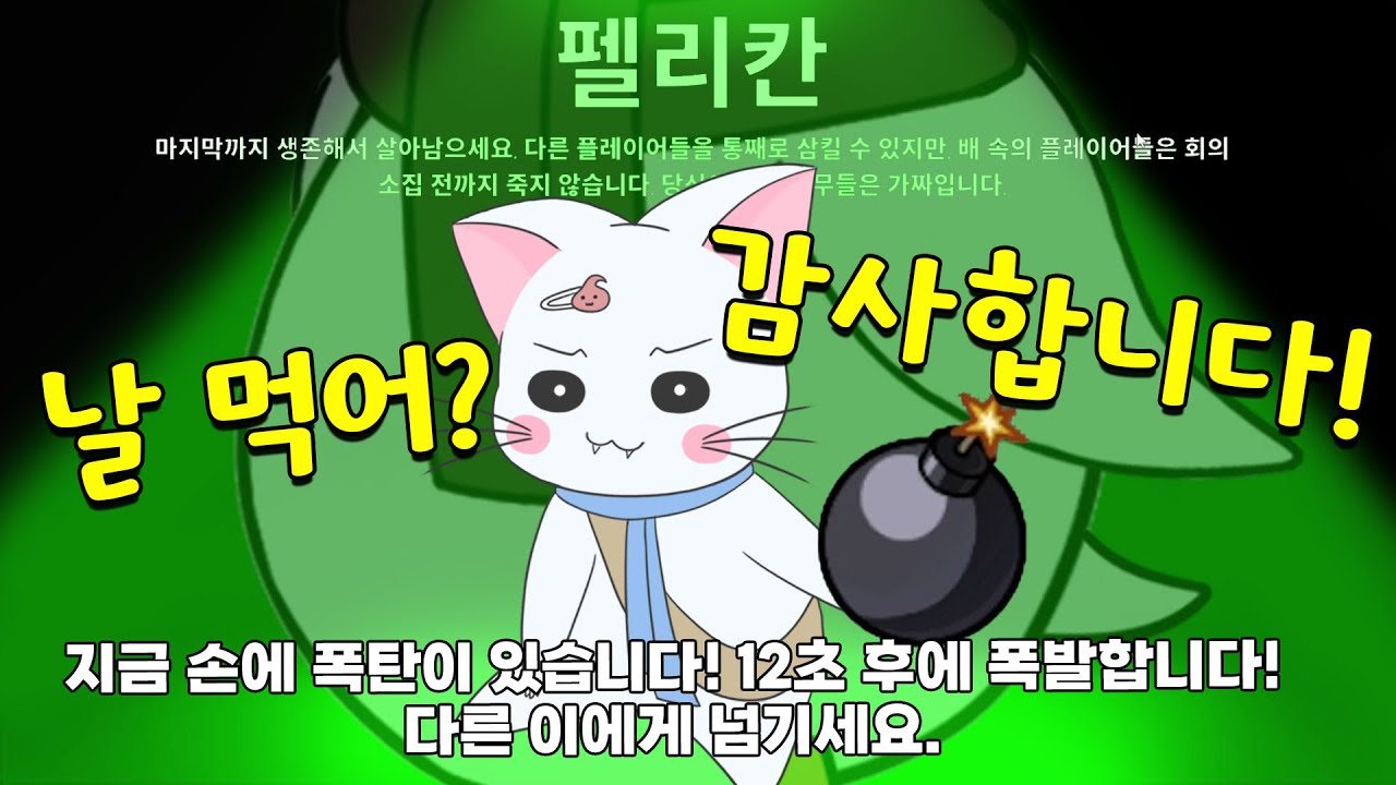 펠리칸은 내 생명의 은인 
