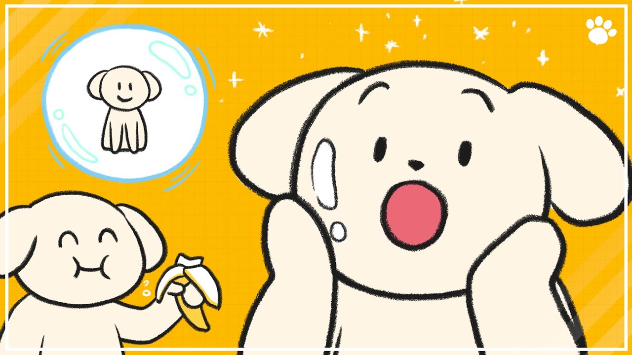 강아지 몸에 좋은 과일과 채소, 간식으로 주면 좋아요 :)