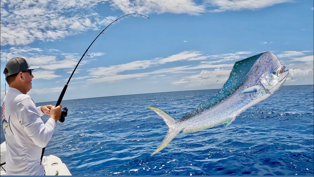 We Found our Lost Anchor, Dodged Bad Storms, Explored a Beautiful Island and  Caught Some Big Fish! 