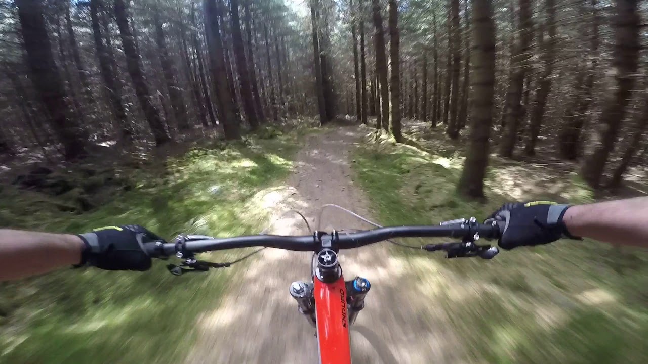 Glentress Boundary Trail, Shane McGowan & Leithan Door 16/05/18