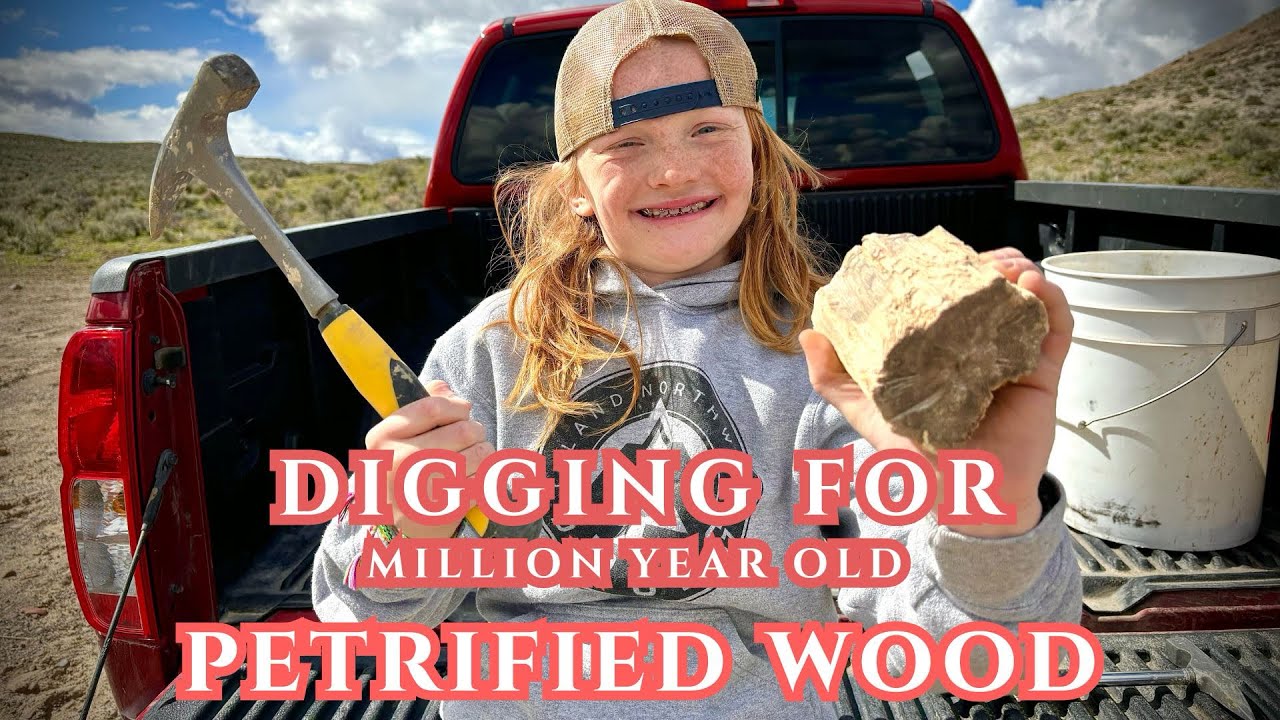 Digging for PETRIFIED WOOD!! [Bruneau Woodpile Idaho!!]