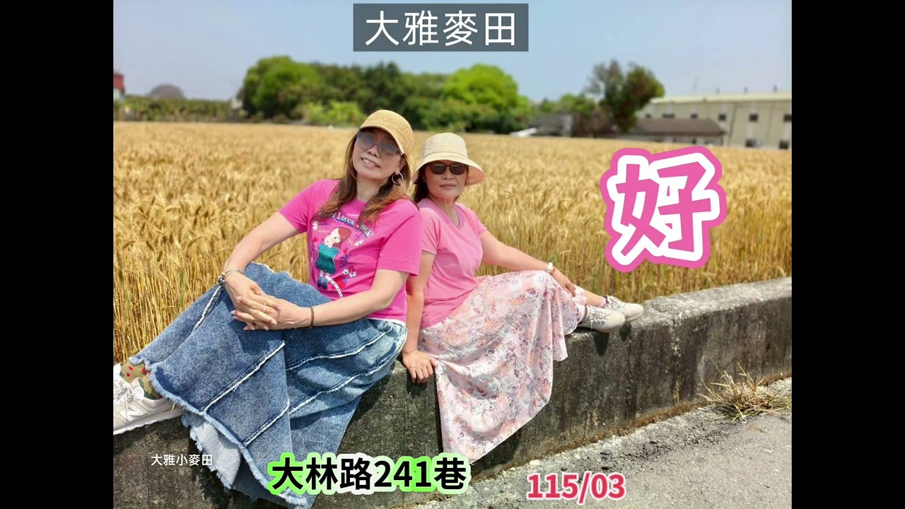 115/03|台中大雅小麥田美拍|土角厝|大林路|麥穗嘉年華活動|