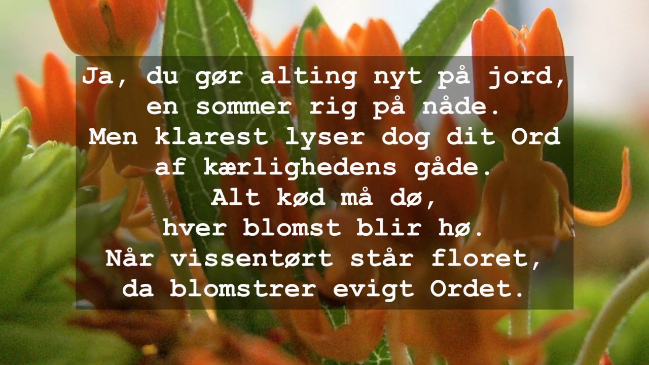 Salme til tredie søndag efter påske. Det dufter lysegrønt af græs.