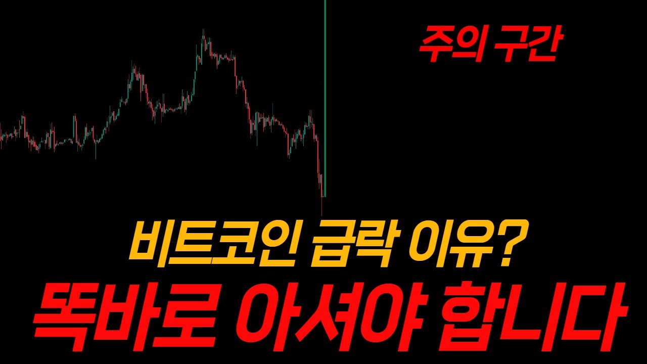 솔직히 말씀드리겠습니다. 비트코인, 저는 정확히 