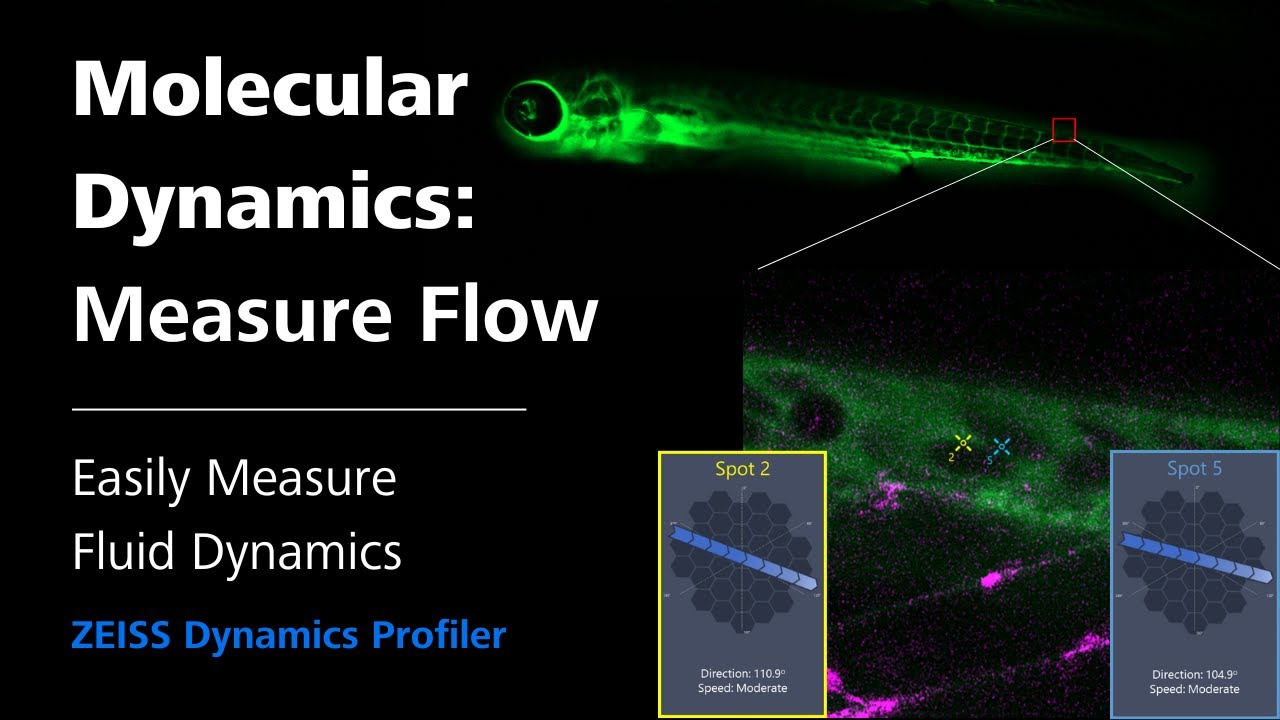 Dynamics Profiler: Measure Flow with Airyscan | Light Microscopy |&nbsp;ZMCC Live Demo |&nbsp;Episode 7