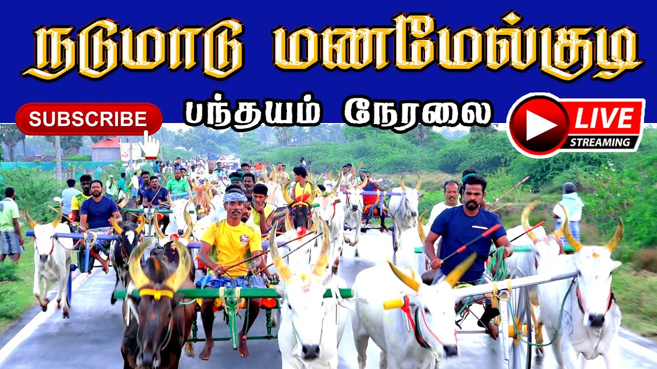 🔴LIVE நடுமாடு(12.07.2025) மணமேல்குடி-பந்தயம் நேரலை || பேரை ராஜ்24